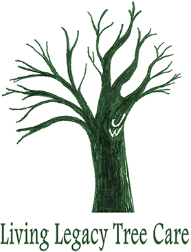 Living Legacy Tree Care